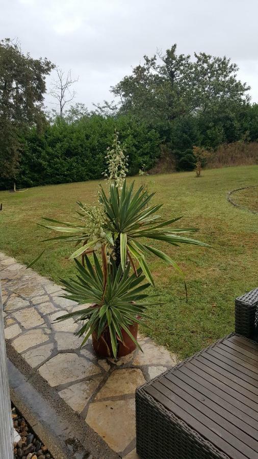 Bed and Breakfast La Belle Chaumiere Bretagne-de-Marsan Exterior foto