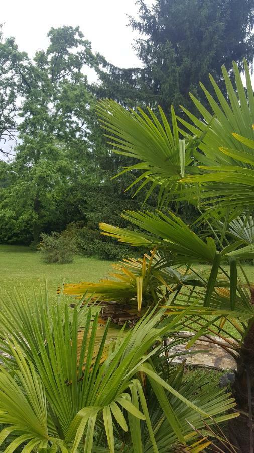Bed and Breakfast La Belle Chaumiere Bretagne-de-Marsan Exterior foto
